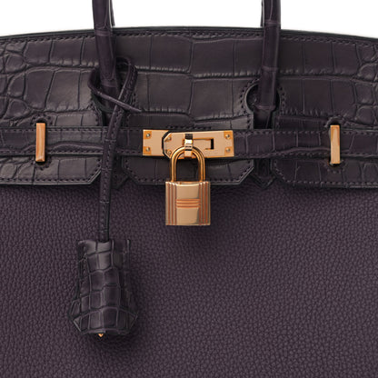 Hermes Togo Matte Alligator Birkin Touch 25 Raisin 8 of 11