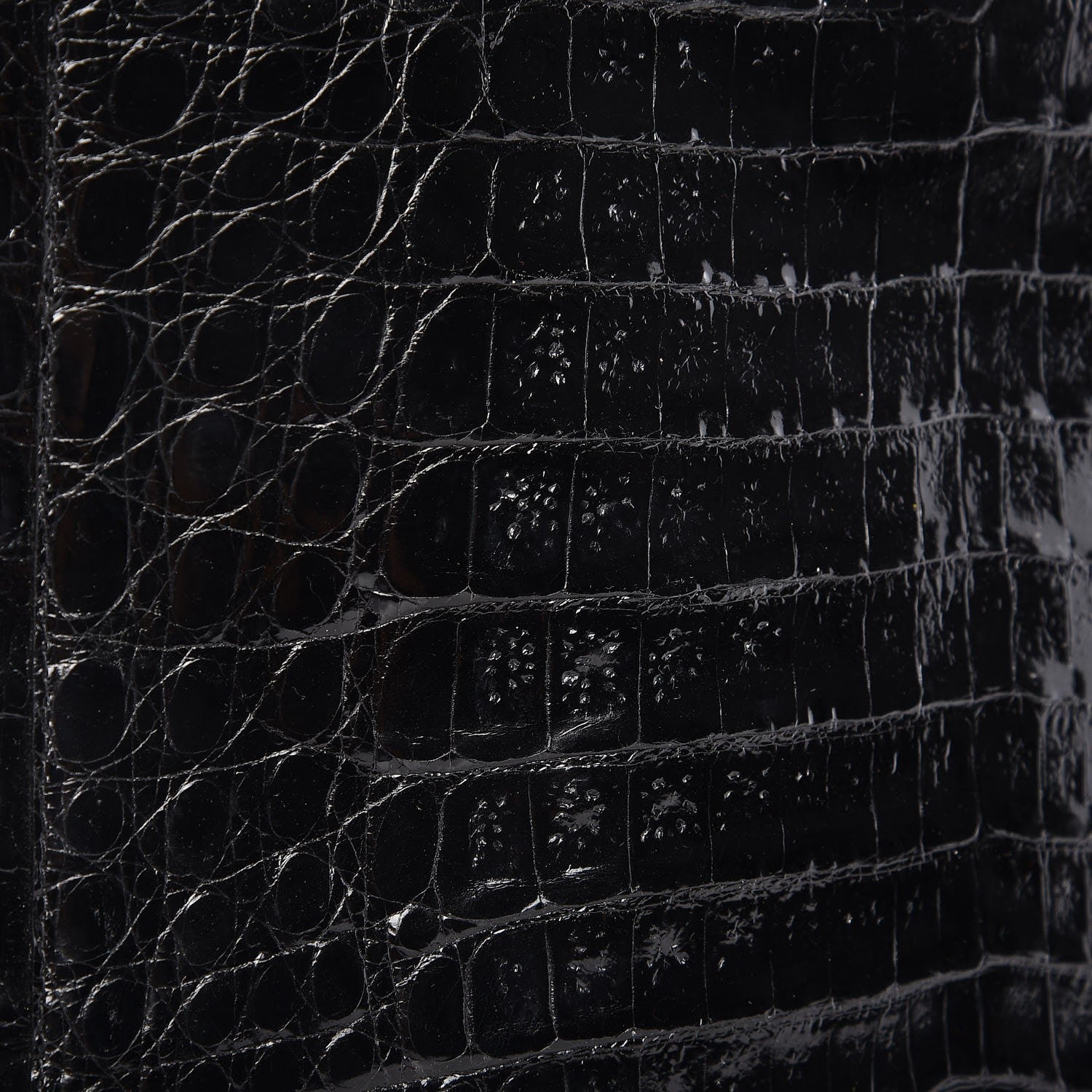Nancy Gonzalez Glossy Crocodile Chain Tote Black 14 of 15