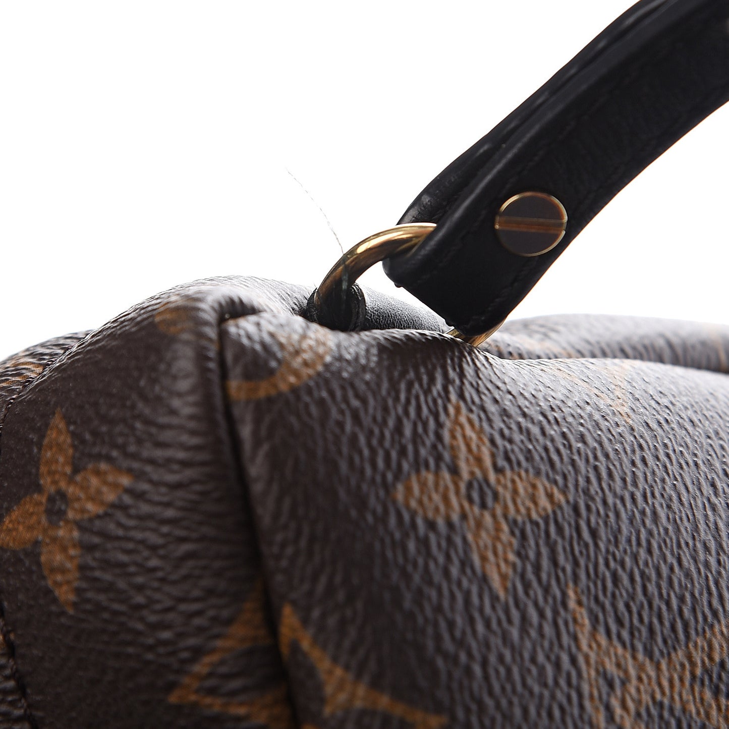 Monogram Palm Springs Backpack Mini