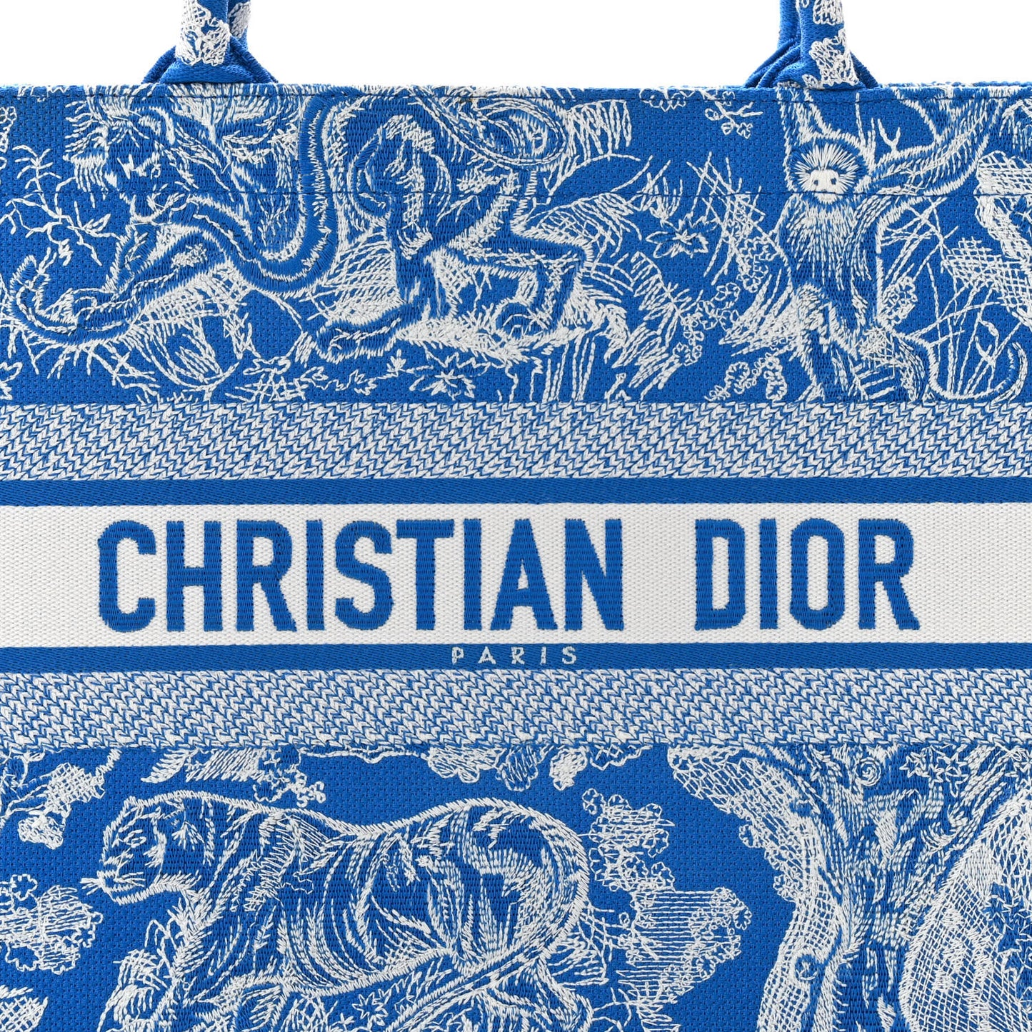 CHRISTIAN DIOR Canvas Embroidered Medium Dioriviera Toile De Jouy Book Tote Fluorescent Blue