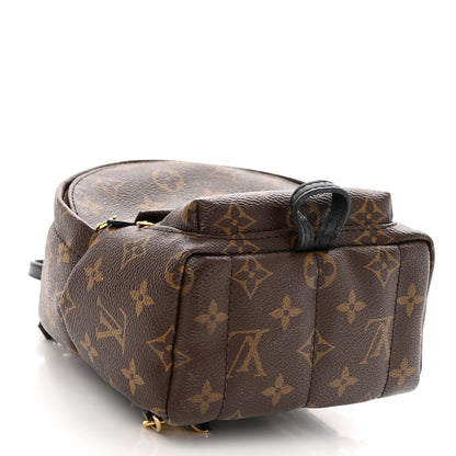 Louis Vuitton Monogram Palm Springs Backpack Mini 4 of 12