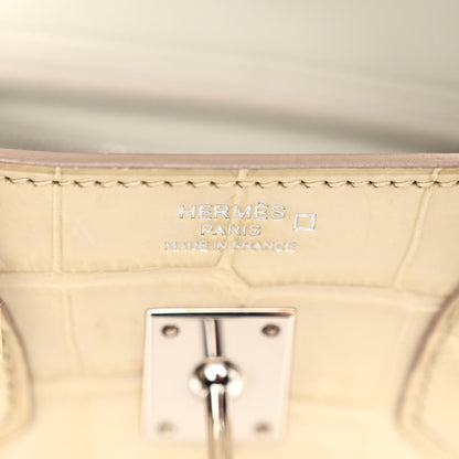 Hermes Matte Alligator Birkin 25 Beton 6 of 12
