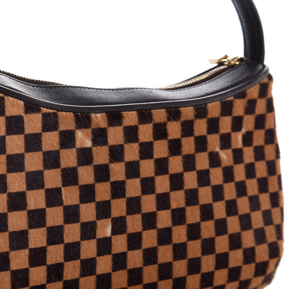 Louis Vuitton Calf Hair Damier Sauvage Tigre 8 of 8