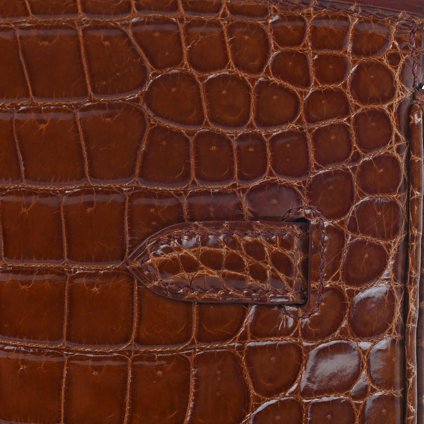 Shiny Porosus Crocodile Birkin 35 Etrusque