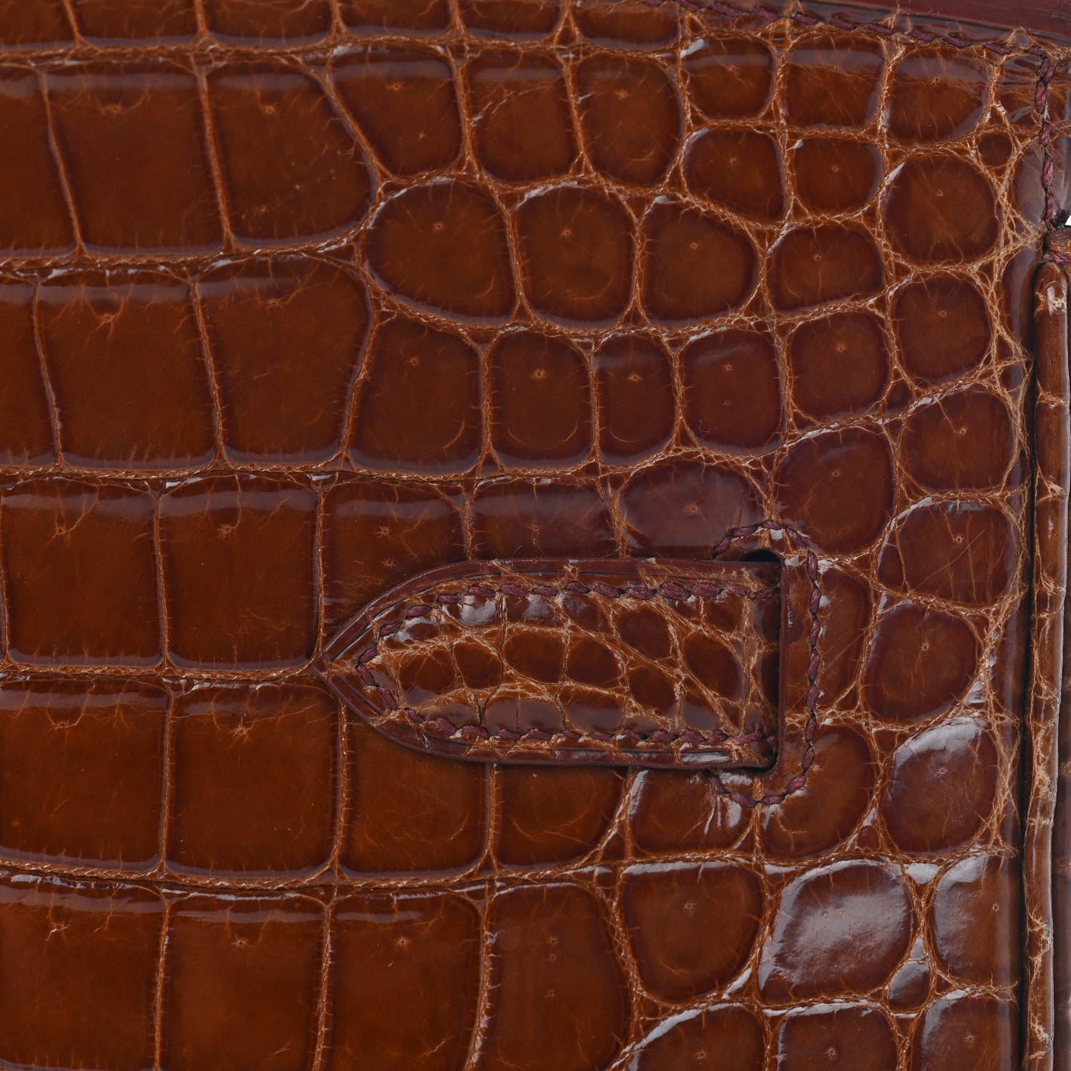 Hermes Shiny Porosus Crocodile Birkin 35 Etrusque 9 of 35