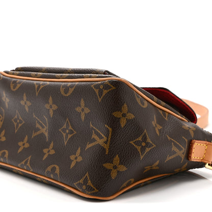 Louis Vuitton Monogram Viva-Cite  PM 10 of 10