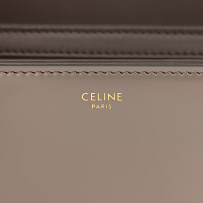 Celine Shiny Calfskin Teen Triomphe Pebble 6 of 11