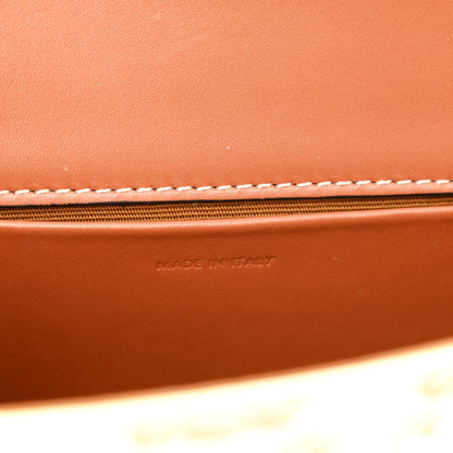 Celine Calfskin Triomphe Canvas Besace White 7 of 11