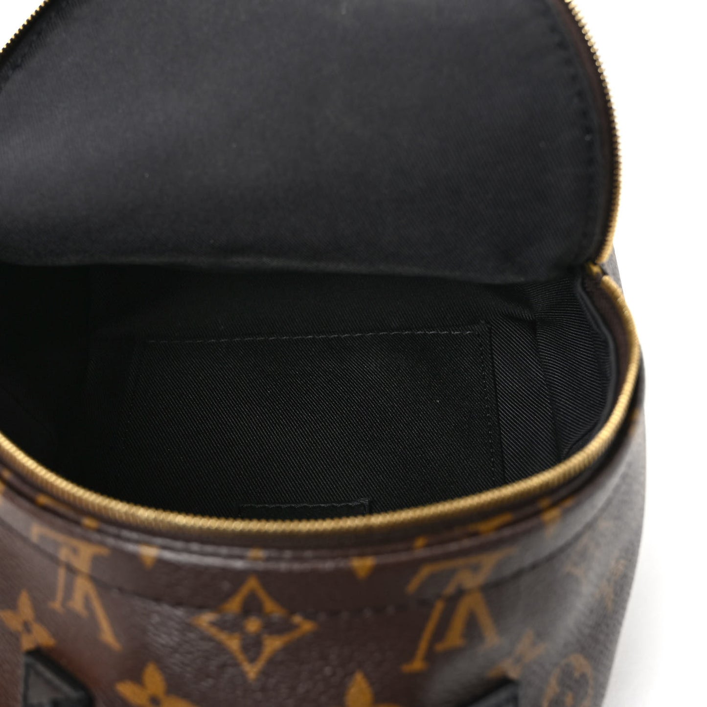 Monogram Palm Springs Backpack Mini
