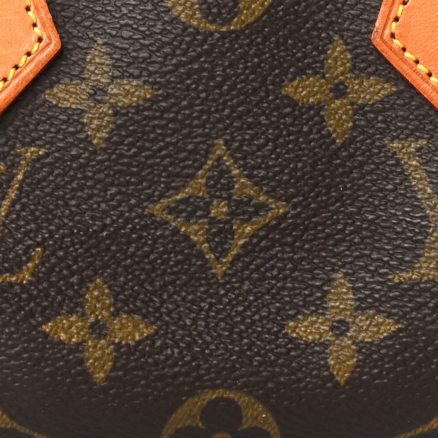 Monogram Mini Sac HL Speedy
