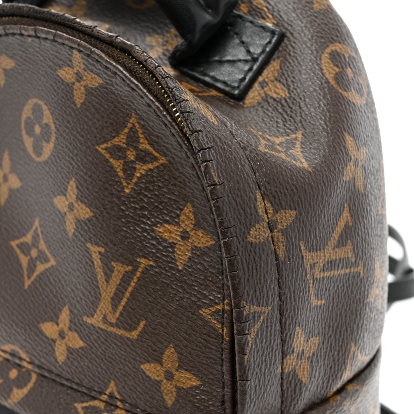 Monogram Palm Springs Backpack Mini