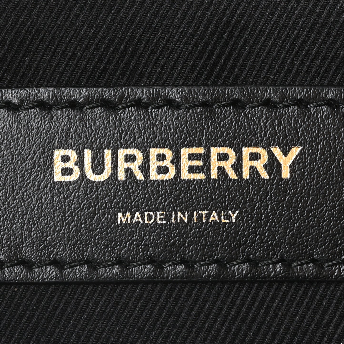 E-Canvas Monogram Stripe XL Sonny Bum Bag Bridle Brown