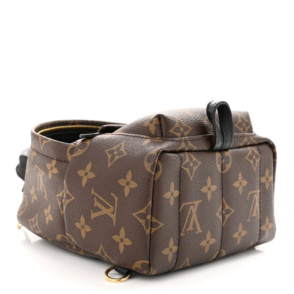Louis Vuitton Monogram Palm Springs Backpack Mini 4 of 11