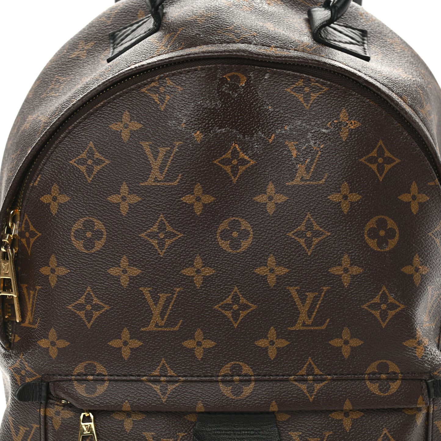 Monogram Palm Springs Backpack MM