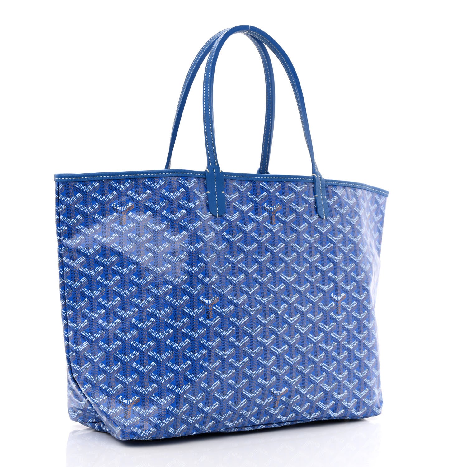 Goyard Goyardine Saint Louis PM Sky Blue 4 of 12