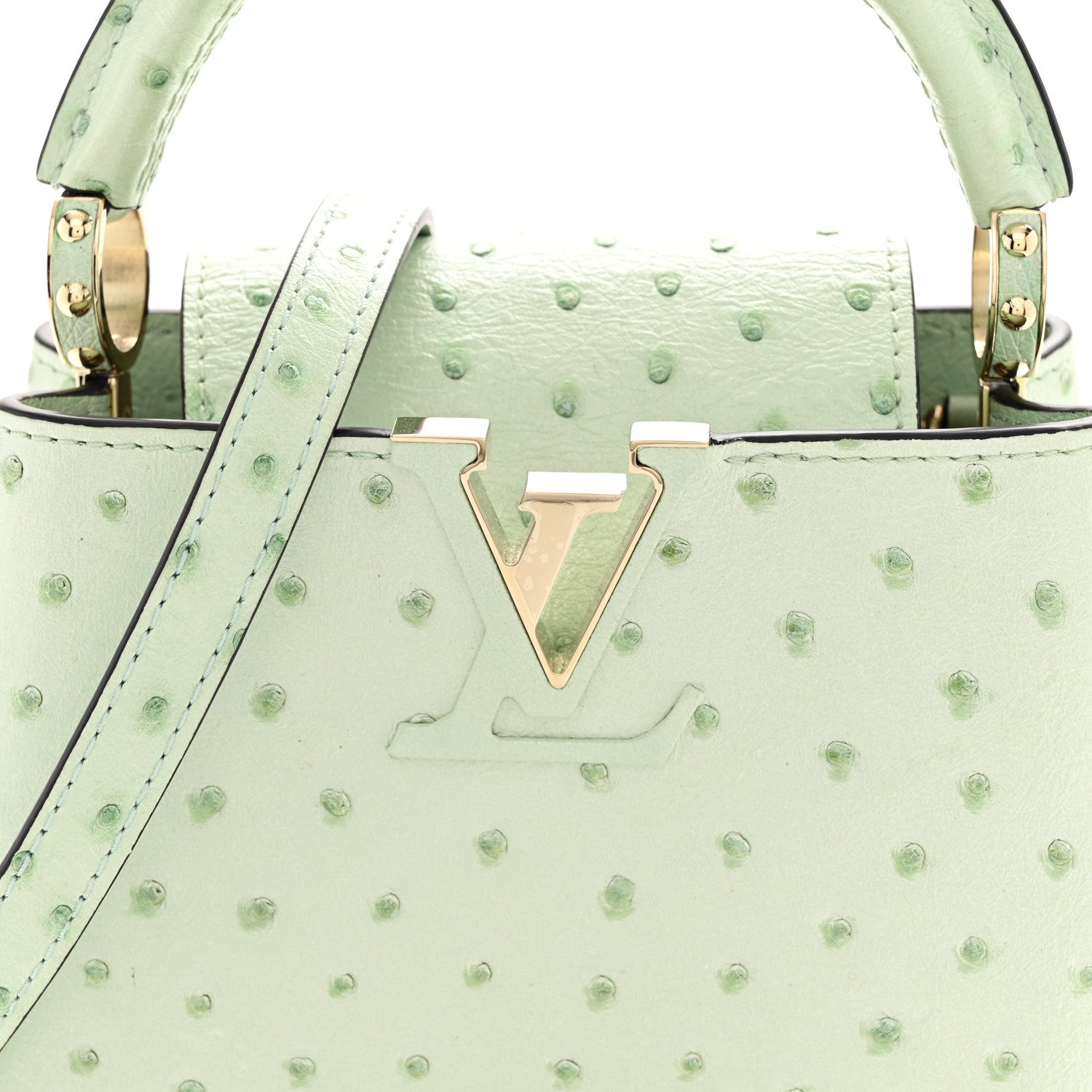 Louis Vuitton Ostrich Capucines Mini Vert Celadon 8 of 11