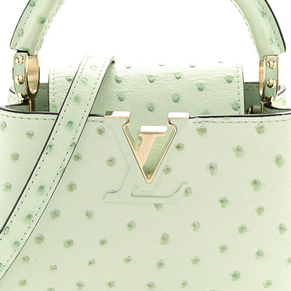 Louis Vuitton Ostrich Capucines Mini Vert Celadon 8 of 11