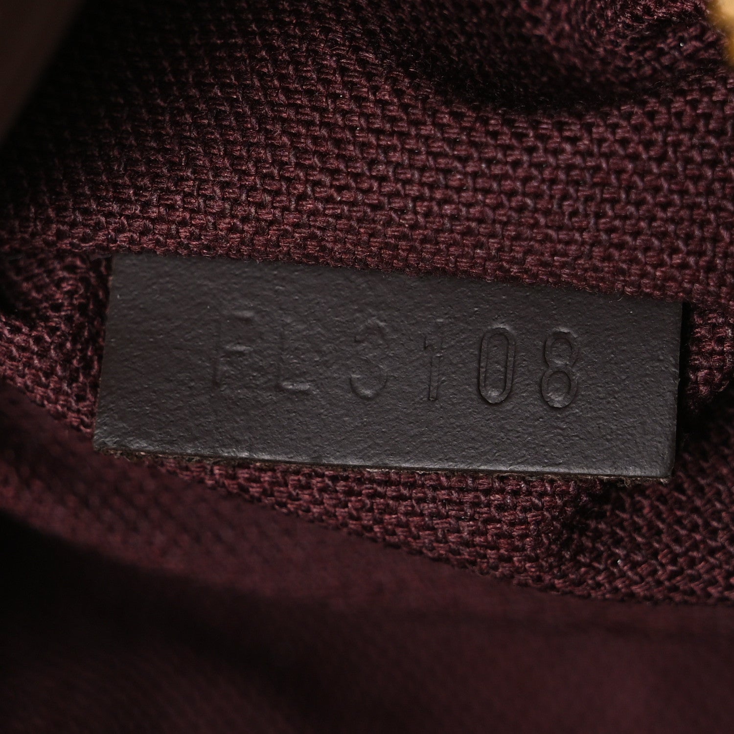 Louis Vuitton Damier Ebene Iena MM 7 of 10