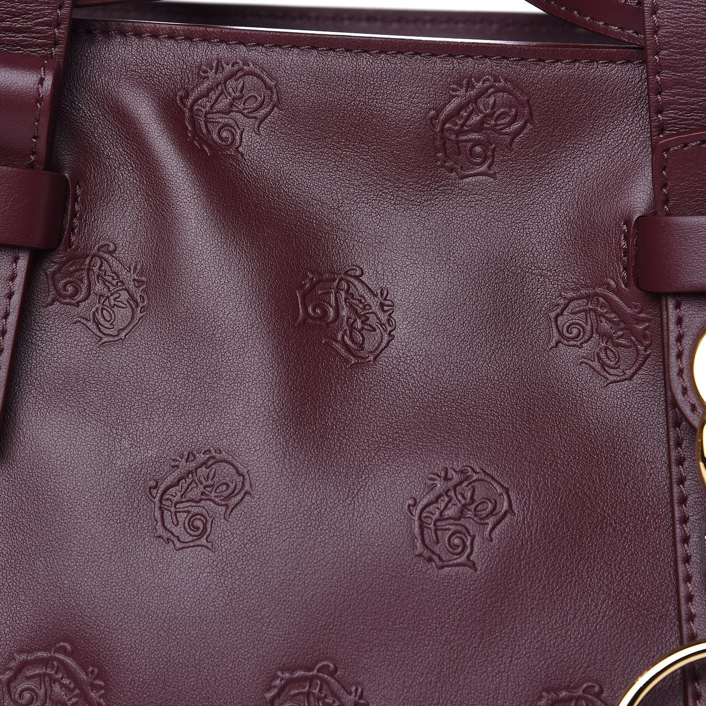 Smooth Calfskin Embossed Tao Zipped Tote Burnt Brown