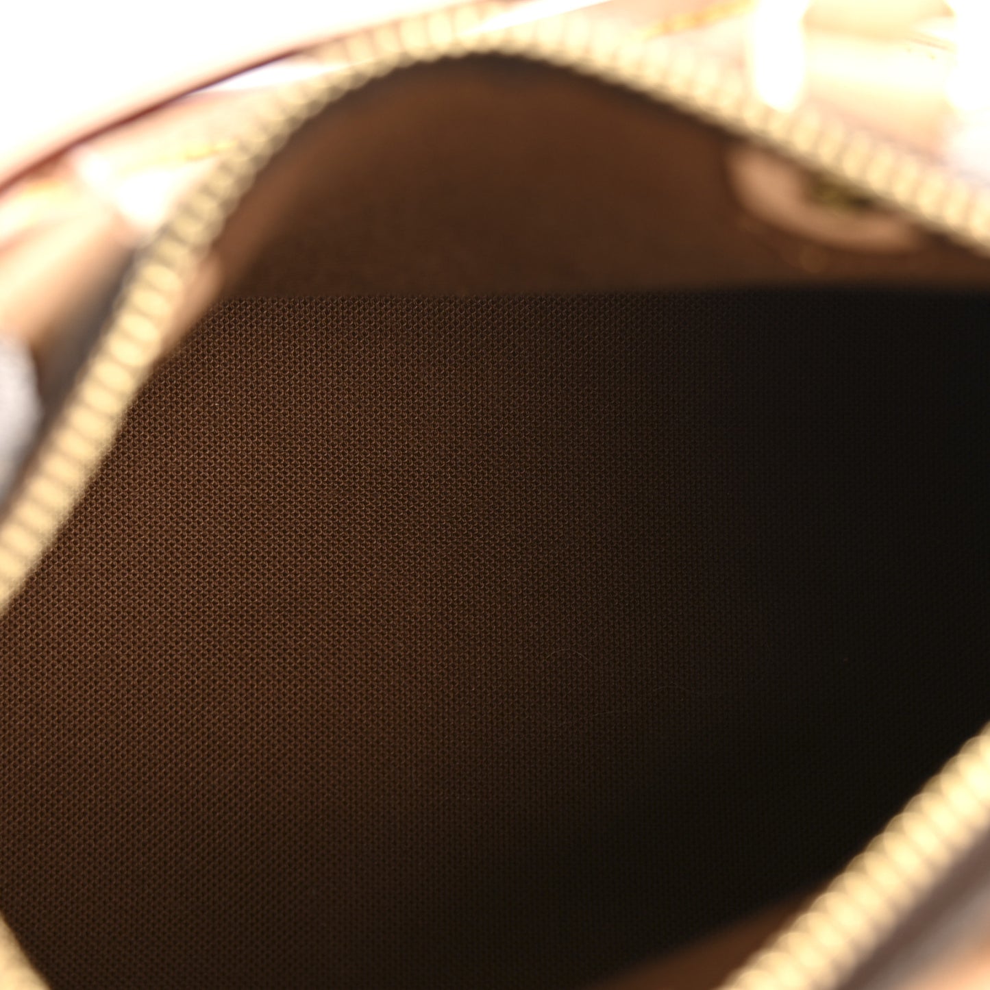 Monogram Nano Speedy