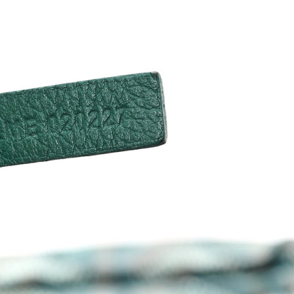 Goyard Goyardine Saint Louis PM Green 8 of 12