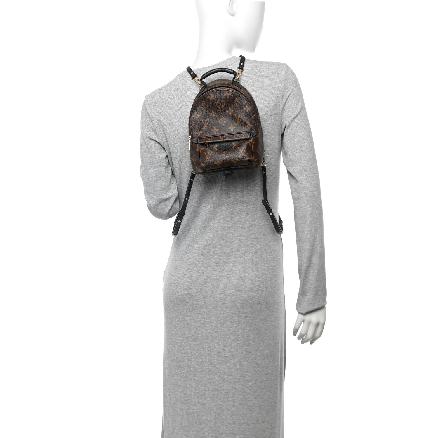 Louis Vuitton Monogram Palm Springs Backpack Mini 2 of 12