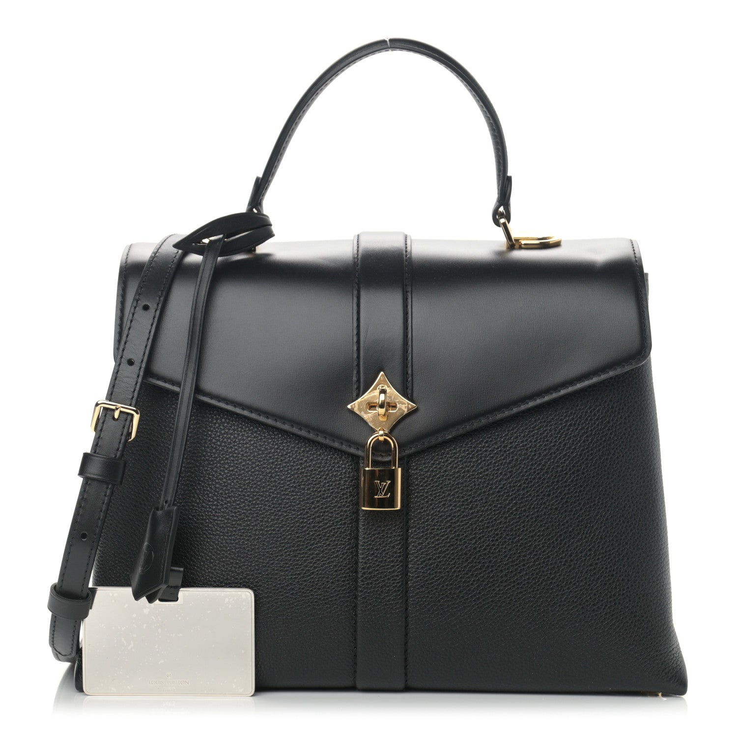 Louis Vuitton Grained Smooth Calfskin Rose Des Vents MM Black 1 of 11