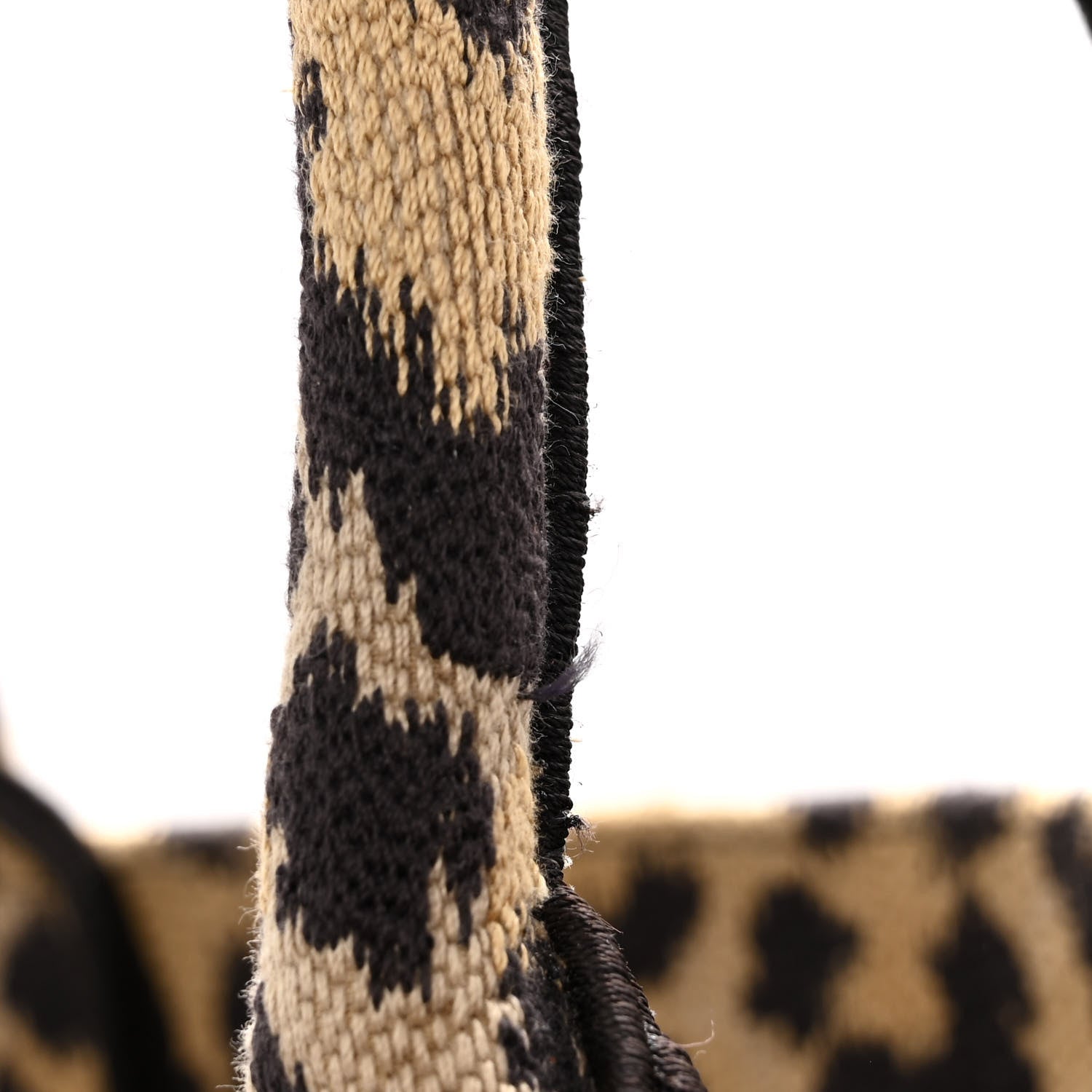 Christian Dior Canvas Mizza Embroidered Large Leopard Book Tote Beige 10 of 10