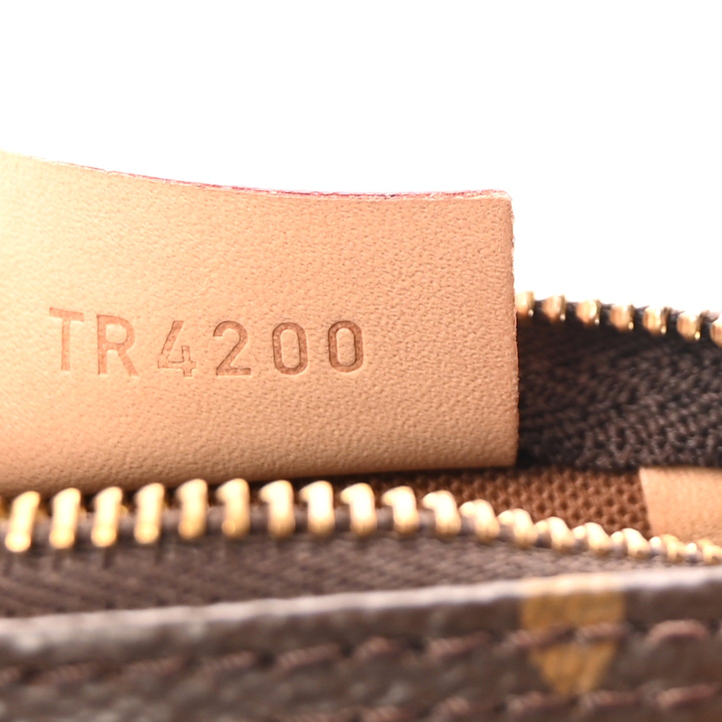 Monogram Nano Speedy