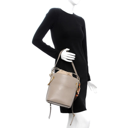 Chloe Smooth Calfskin Small Roy Bucket Bag Motty Grey 3 of 9