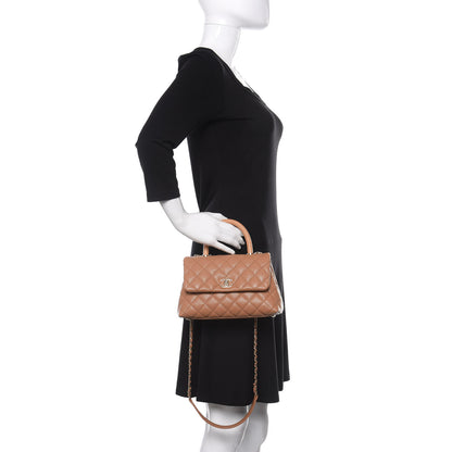 Chanel Caviar Quilted Lizard Embossed Mini Coco Handle Flap Brown 3 of 12