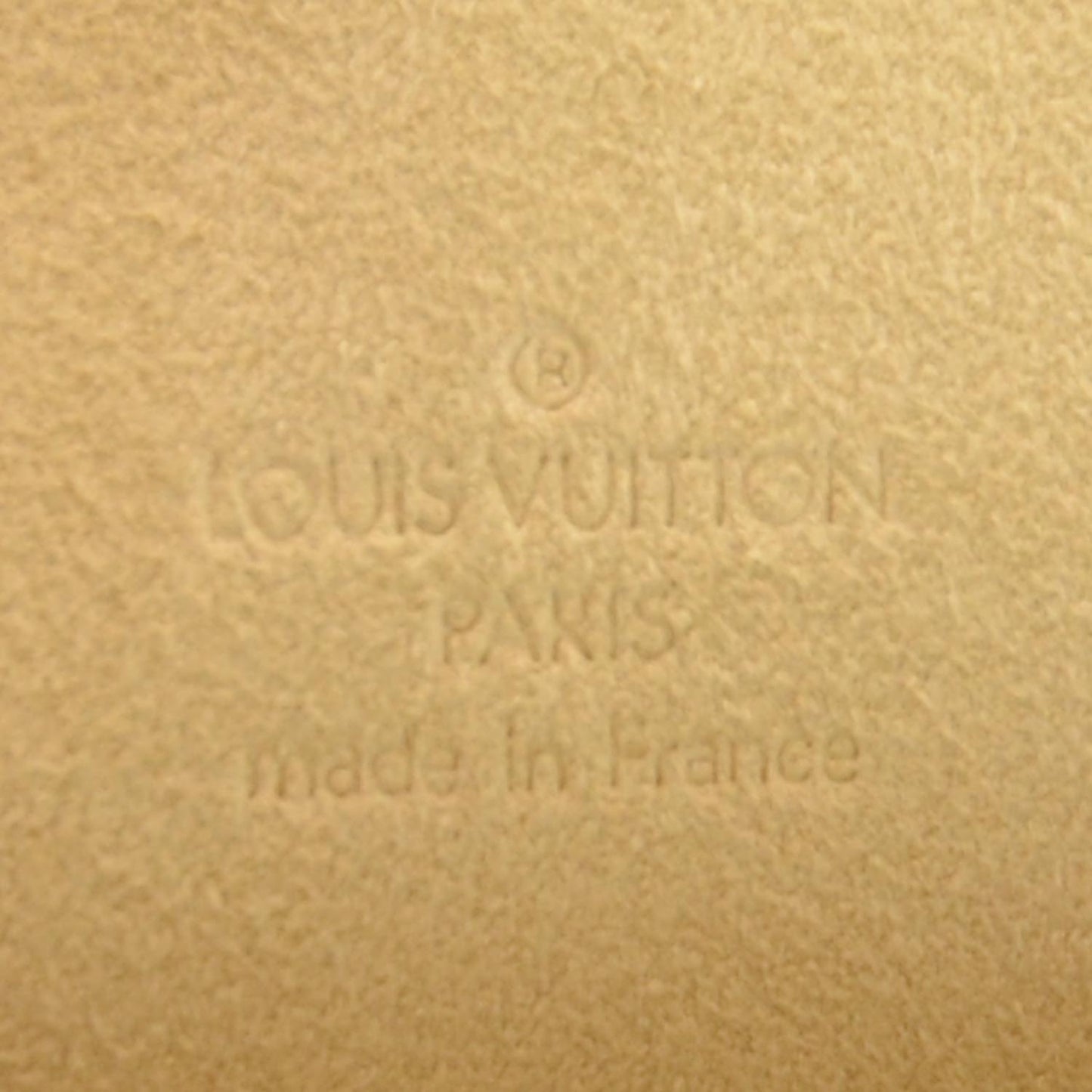 Monogram Pochette Florentine Bag
