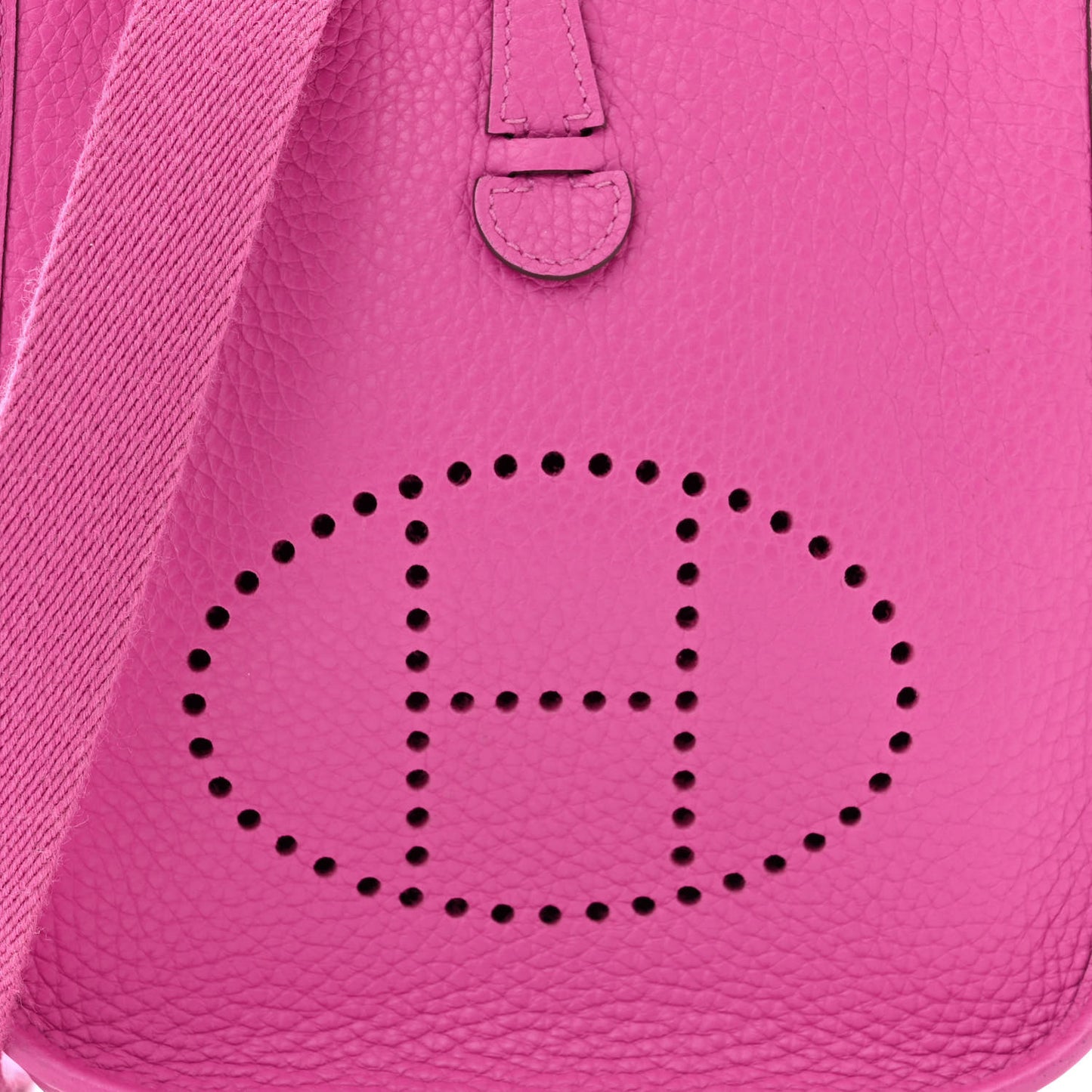 Taurillon Clemence Evelyne TPM Magnolia