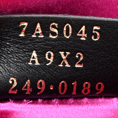 Fendi Sequin Paillettes Shiny Nappa Sex and the City Nano Maxi Buckle Baguette Charm Tortora 7 of 11