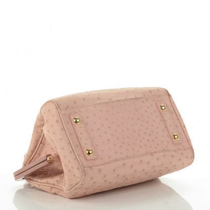 Louis Vuitton Ostrich Frame Speedy Pink 4 of 7