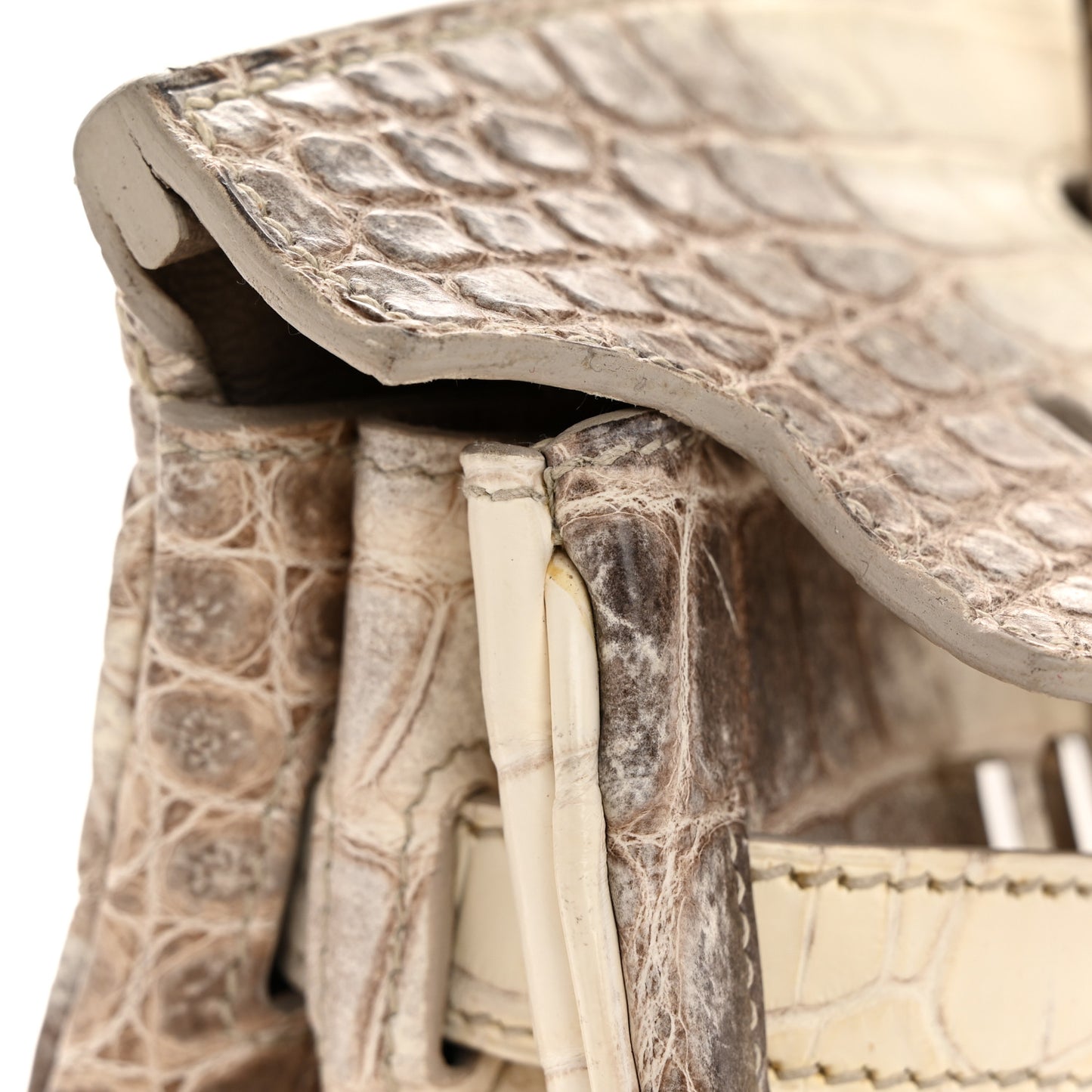 Matte Niloticus Crocodile Himalaya Birkin 30 Blanc