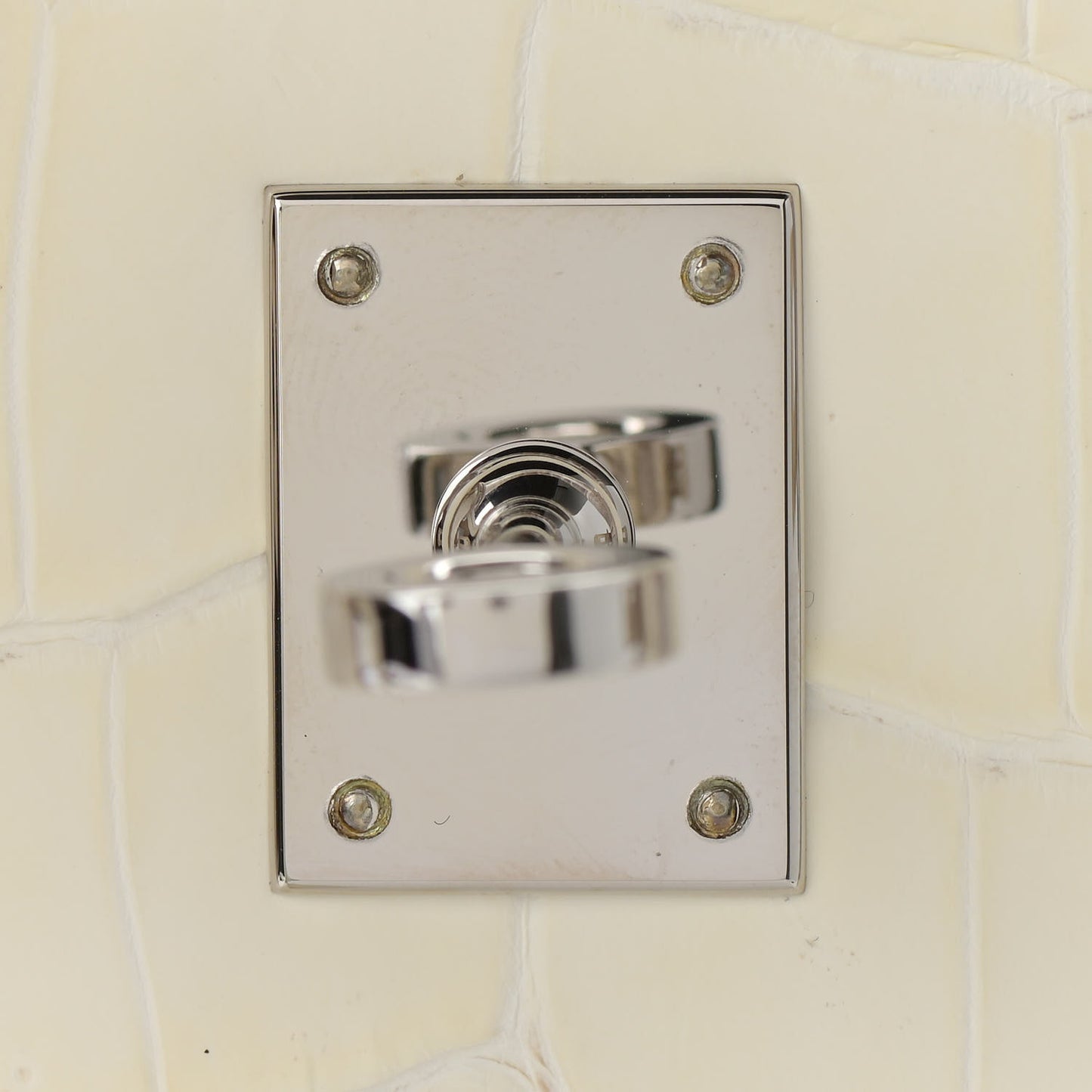 Matte Niloticus Crocodile Himalaya Birkin 25 Blanc