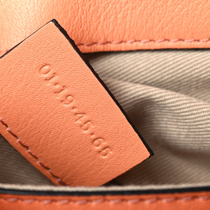 Chloe Calfskin Mini Faye Day Shoulder Bag Canyon Sunset 7 of 10