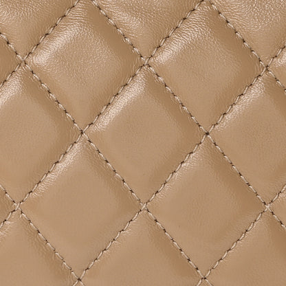 Chanel Shiny Lambskin Quilted Mini 31 Shopping Bag Beige 8 of 10
