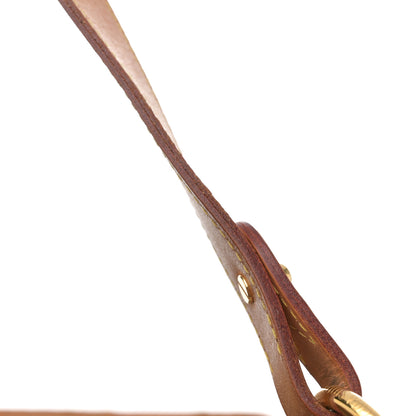 Louis Vuitton Monogram Delightful PM 17 of 18