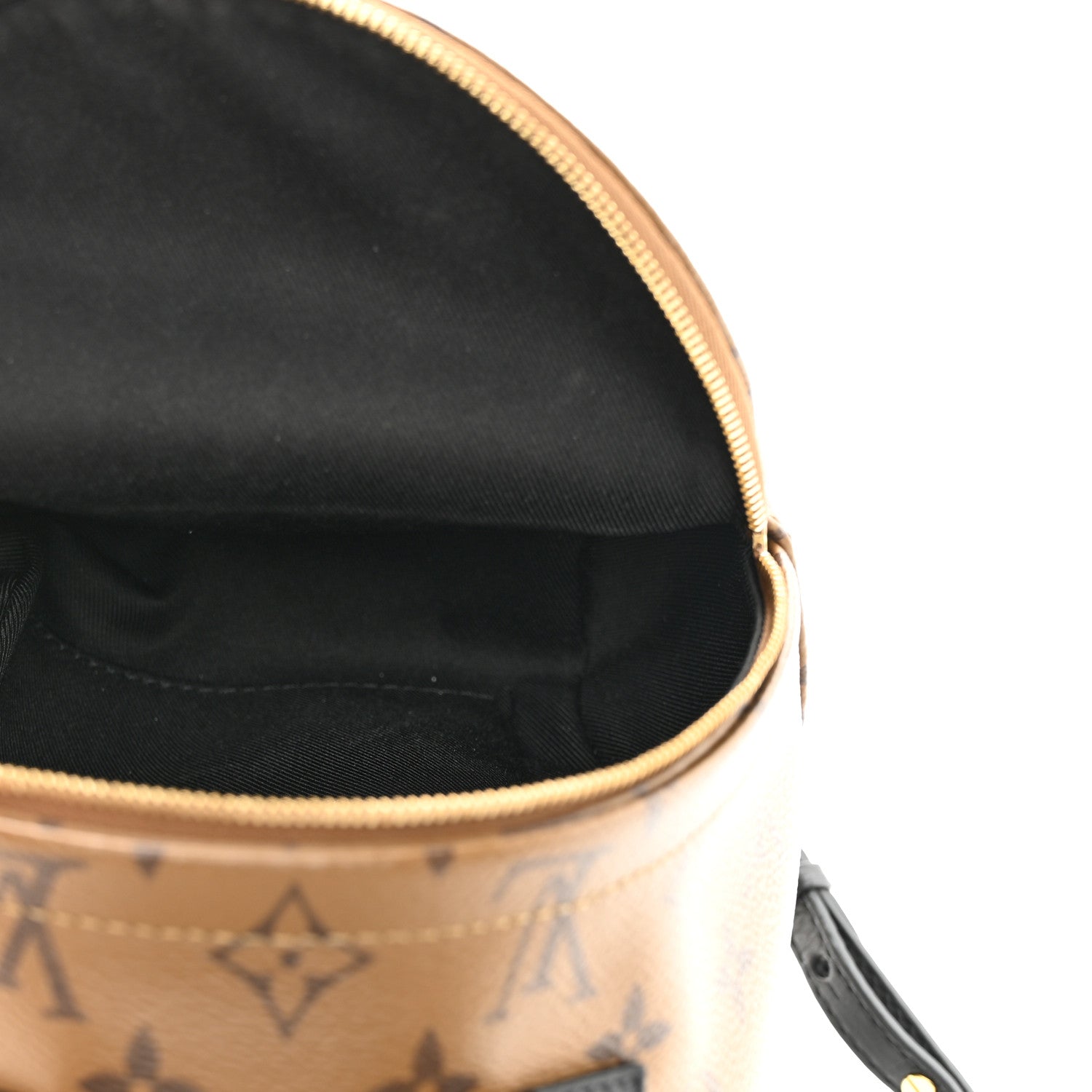 Louis Vuitton Reverse Monogram Palm Springs Backpack Mini 5 of 11