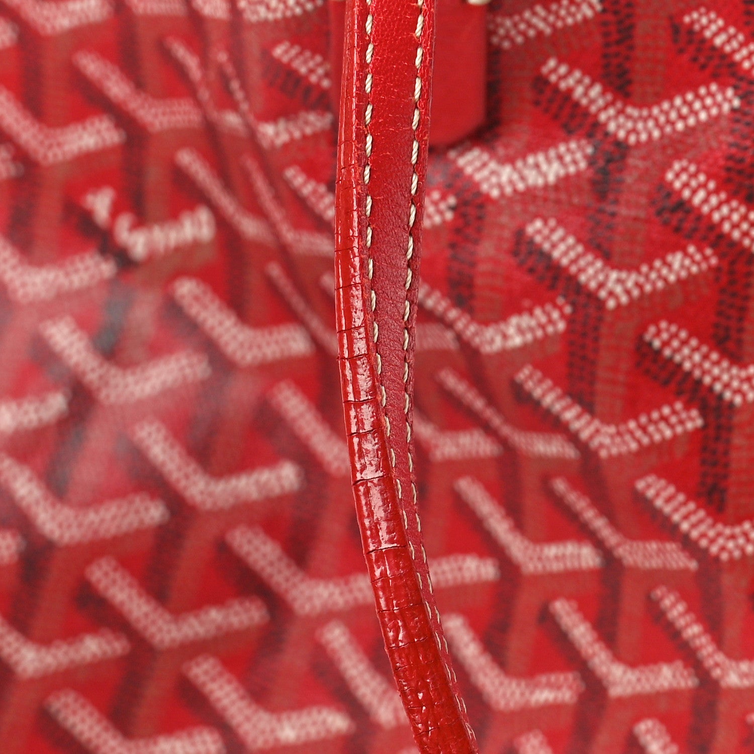 Goyard Goyardine Saint Louis PM Red 11 of 18