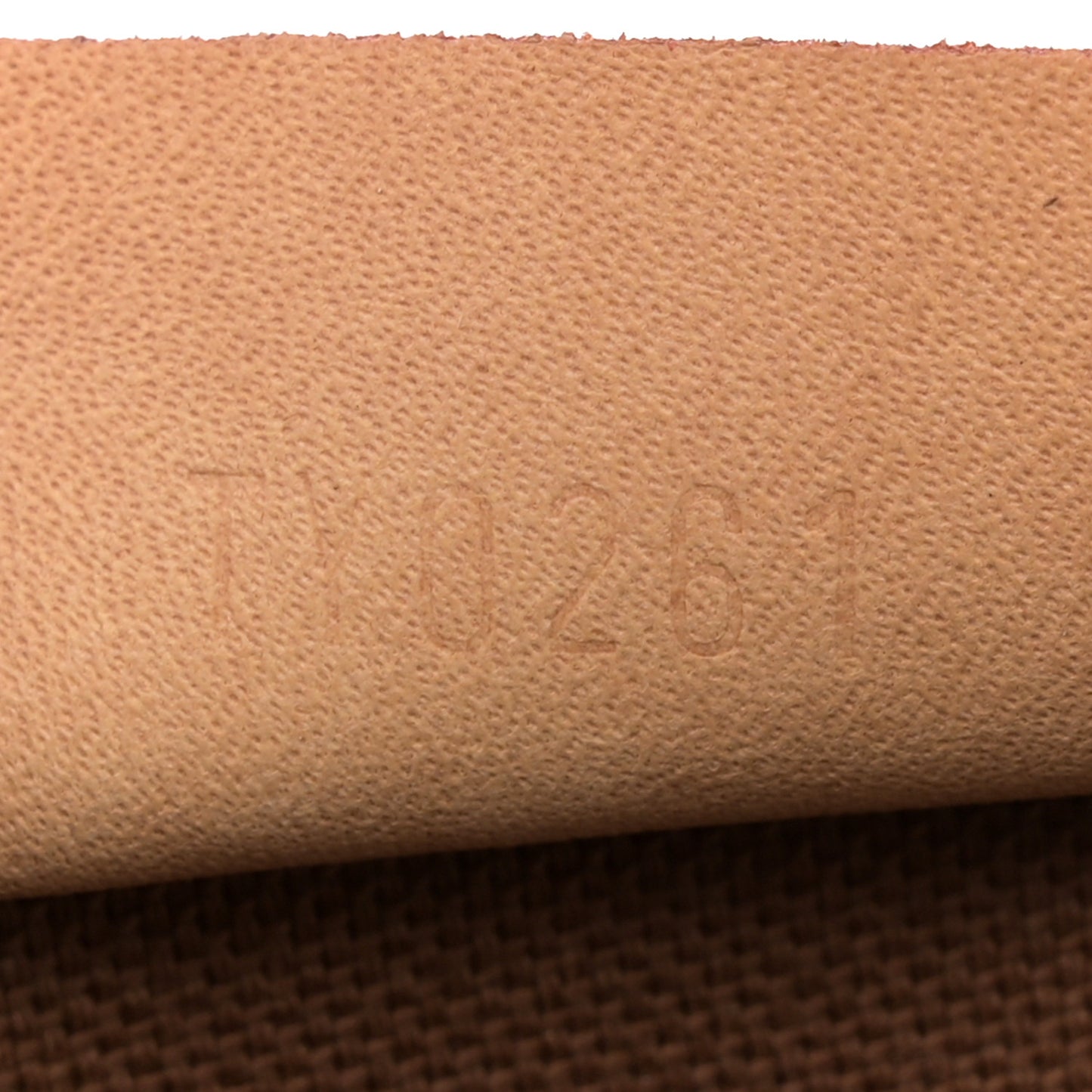 Monogram Nano Speedy