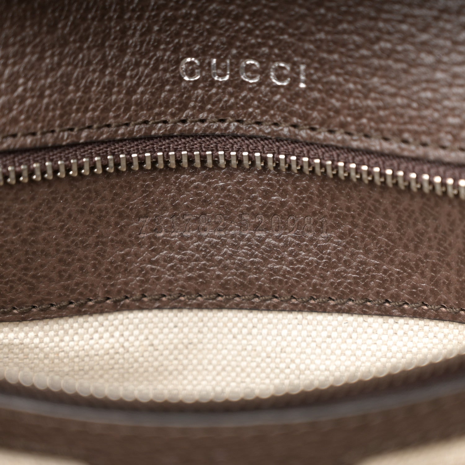 Gucci GG Supreme Web Monogram Textured Dollar Calfskin Dionysus Small Shoulder Bag Beige Ebony New Acero 8 of 16