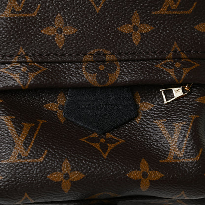 Louis Vuitton Monogram Palm Springs Backpack Mini 13 of 14