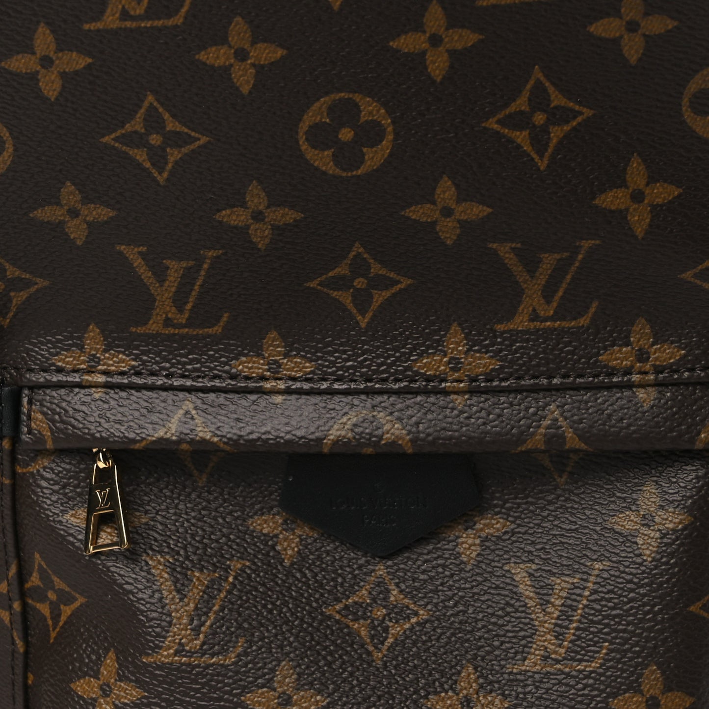 Monogram Palm Springs Backpack PM
