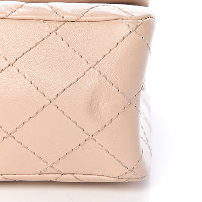 Chanel Aged Calfskin Quilted 2.55 Reissue 225 Flap Beige 11 of 12