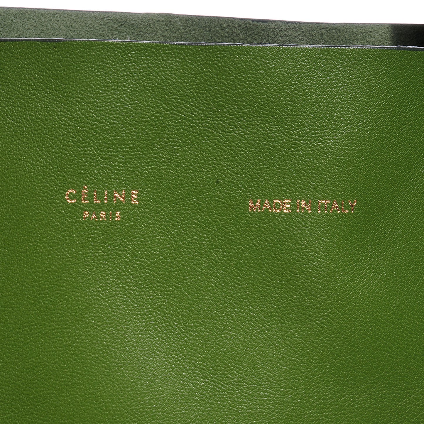Lambskin Vertical Bi- Cabas Green