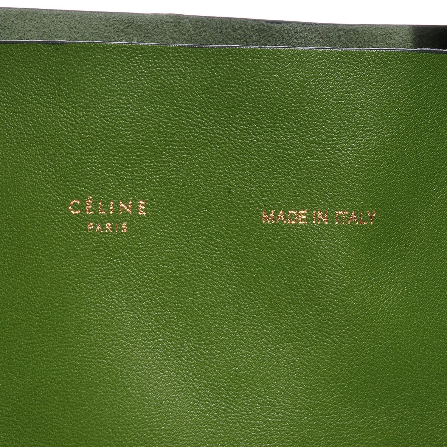 Celine Lambskin Vertical Bi- Cabas Green 5 of 8