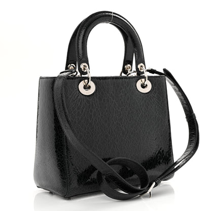 Christian Dior Ceramic Effect Deerskin Jeweled Swan Lady Dior Black 3 of 11